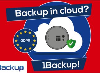 Backup del Gestionale per salvare l’azienda backup 1Backup