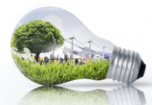 Vita green e sostenibilità ambientale: 7 miti da sfatare