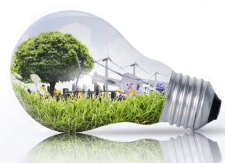 Vita green e sostenibilità ambientale: 7 miti da sfatare