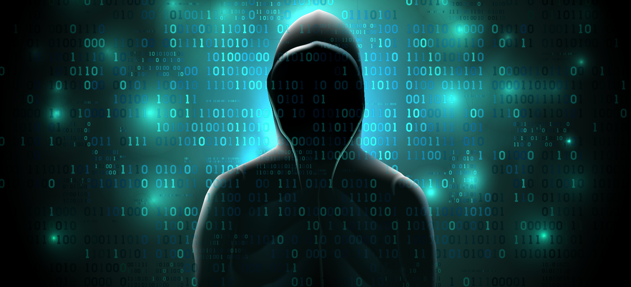 Hacker: scoprire come pensano per proteggersi - BitMat
