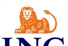 Startup green: aperte le candidature per la ING Challenge