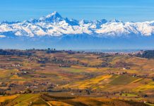Regione Piemonte punta sulla digitalizzazione regione-piemonte-si-digitalizza