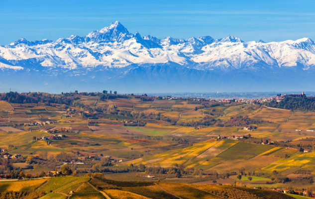 regione-piemonte-si-digitalizza