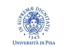 Software Heritage: l'Università di Pisa aderisce al programma