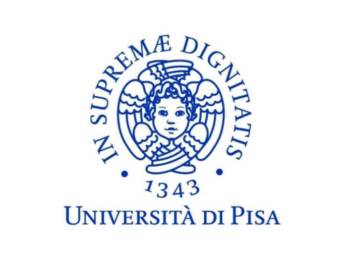 Software Heritage: l'Università di Pisa aderisce al programma