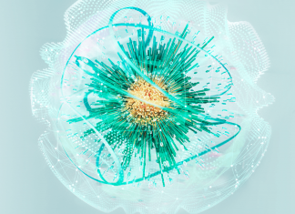 Kaspersky Open Innovation Summit: le 4 startup vincitrici