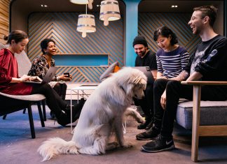 La mobile bank N26 presenta lo Student Ambassador Program