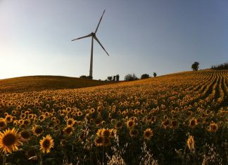 EMS: bilancio intelligente con Talentia