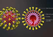 Le conseguenze economiche del coronavirus