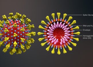 Le conseguenze economiche del coronavirus