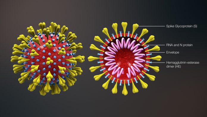 Le conseguenze economiche del coronavirus