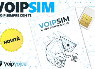 VoipSim