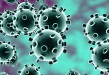 Coronavirus: Garante Privacy, no a iniziative “fai-da-te” nella raccolta dei dati virus
