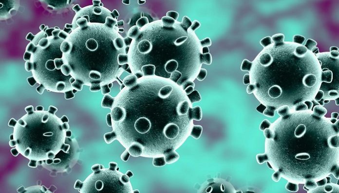 virus virus