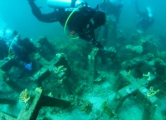 barriera corallina - barriere coralline