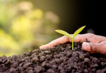 Konica Minolta bizhub ECO: le stampanti diventano ecosostenibili! Konica Minolta bizhub ECO