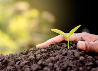 Konica Minolta bizhub ECO: le stampanti diventano ecosostenibili! Konica Minolta bizhub ECO