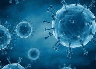 Come la criminalità informatica sfrutta la pandemia