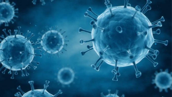 contenimento del virus Come la criminalità informatica sfrutta la pandemia