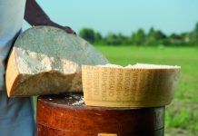 Parmigiano Reggiano: il simbolo del Made in Italy sceglie il marketing omnichannel di Selligent Marketing Cloud e la digital agency bolognese Spotview