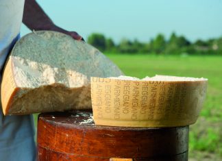 Parmigiano Reggiano: il simbolo del Made in Italy sceglie il marketing omnichannel di Selligent Marketing Cloud e la digital agency bolognese Spotview