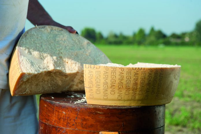 ParmigianoReggiano (1) Parmigiano Reggiano: il simbolo del Made in Italy sceglie il marketing omnichannel di Selligent Marketing Cloud e la digital agency bolognese Spotview
