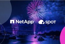 Netapp acquisterà Spot per la leadership nel settore Netapp
