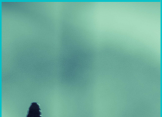 Operazione In(ter)ception