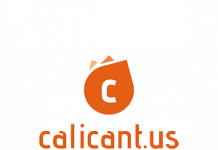Calicantus e Magilla aiutano le imprese a gestire l’e-commerce calicantus