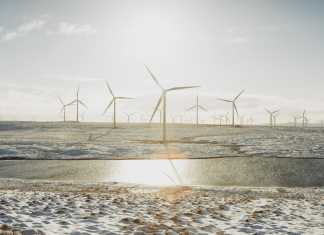 ENEA modernizza i sistemi gestionali grazie a Minsait