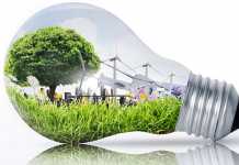 La scelta Green Economy genera risparmio Green economy