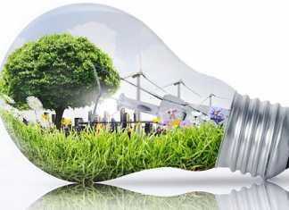 La scelta Green Economy genera risparmio Green economy