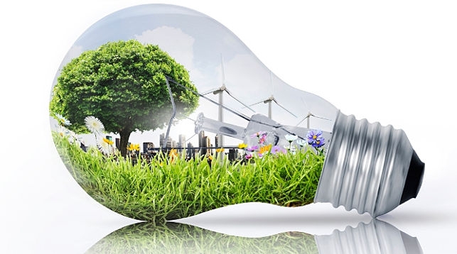 Green economy Green economy