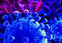 Creare sistemi scalabili permetterà di superare le difficoltà del post pandemia. COVID-19