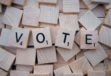 Voto online: il cammino verso la democrazia digitale