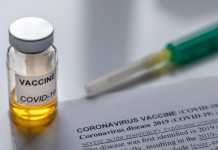 Vaccini contro il Coronavirus: tematica usata dagli hacker per attaccare Vaccini contro il Coronavirus