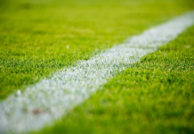 I Vantaggi dell’Utilizzo di un’App Mobile per le Scommesse Sportive scommesse sportive