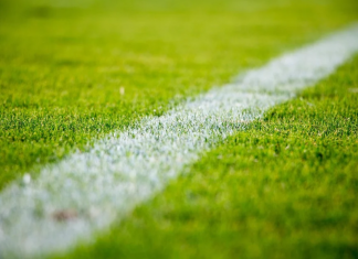 scommesse sportive