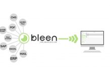 Bleen
