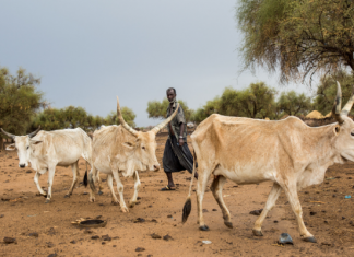 Sahel