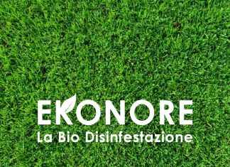 Ekonore ha scelto la soluzione CRM Oracle CX Cloud Ekonore ha scelto la soluzione CRM Oracle CX Cloud