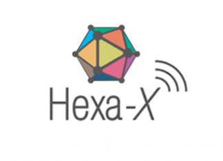Hexa-X