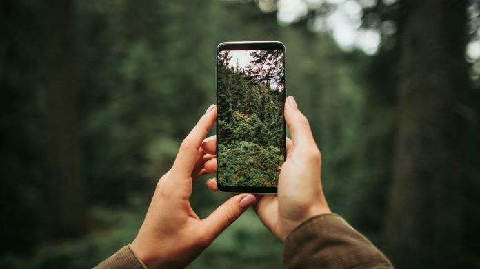 impatta lo smartphone sull'ambiente impatta lo smartphone sull'ambiente
