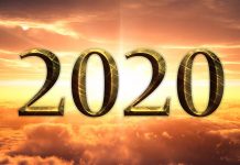 Cosa possiamo imparare dal 2020? Cosa possiamo imparare dal 2020?