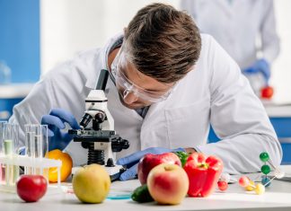 h-ALO: sicurezza degli alimenti grazie alla tecnologia