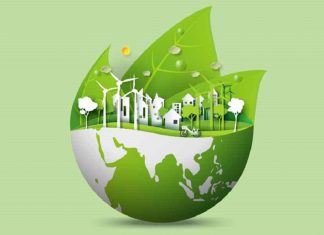 Bonus Green Generation