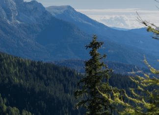 Foreste della Val di Fiemme