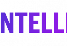 Myntelligence: Intelligenza artificiale e automazione nell’ advertising Myntelligence