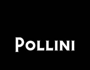 Pollini