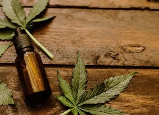 Il ruolo dell'IA nell'industria della cannabis in continua crescita